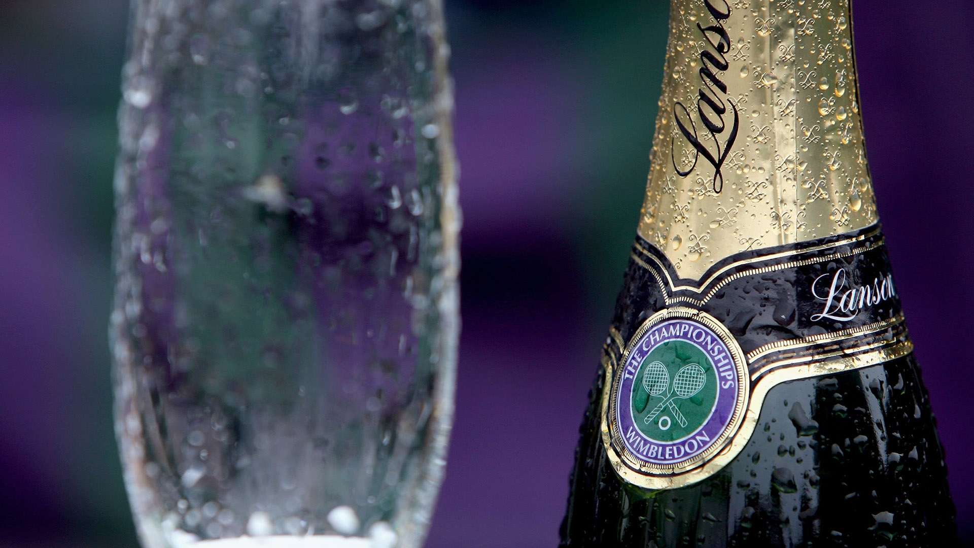 尽管卡利亚 尽管卡利亚